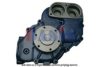 AKS DASIS 770090T Water Pump